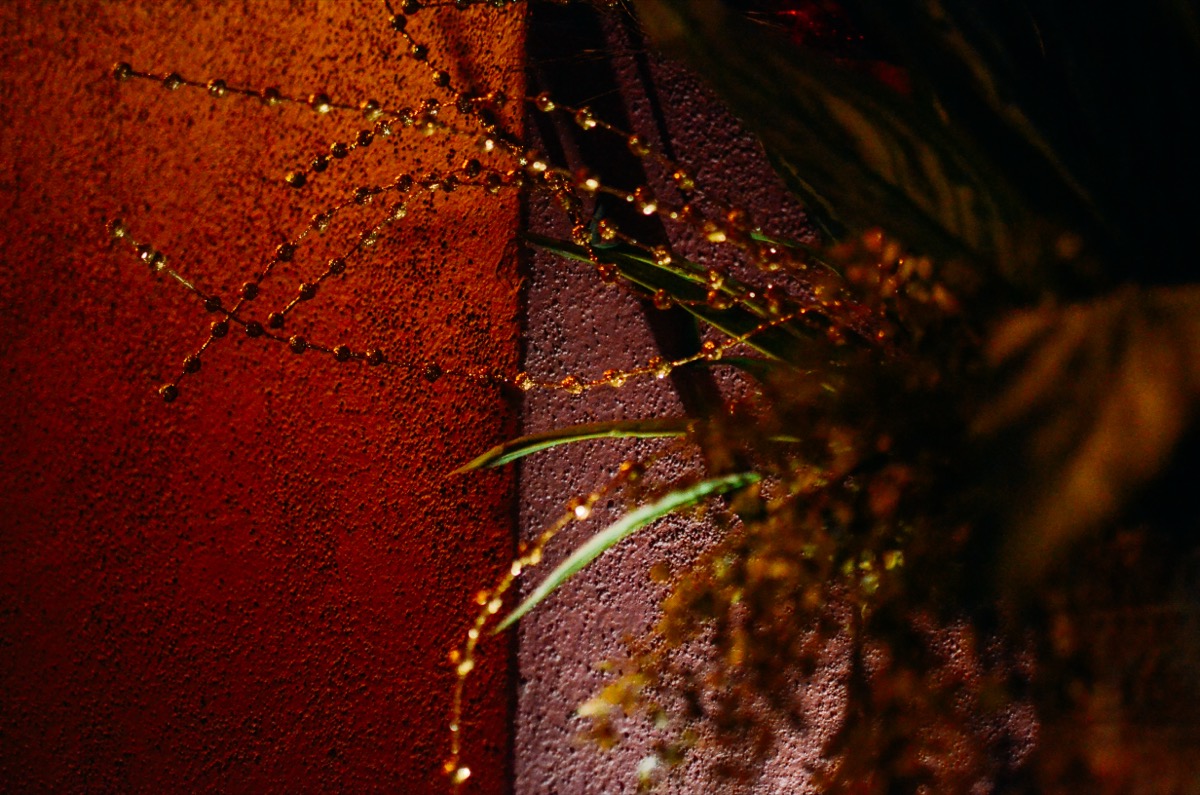 Poncan Theatre lobby art